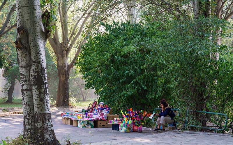 Panfilov Park, Bişkek